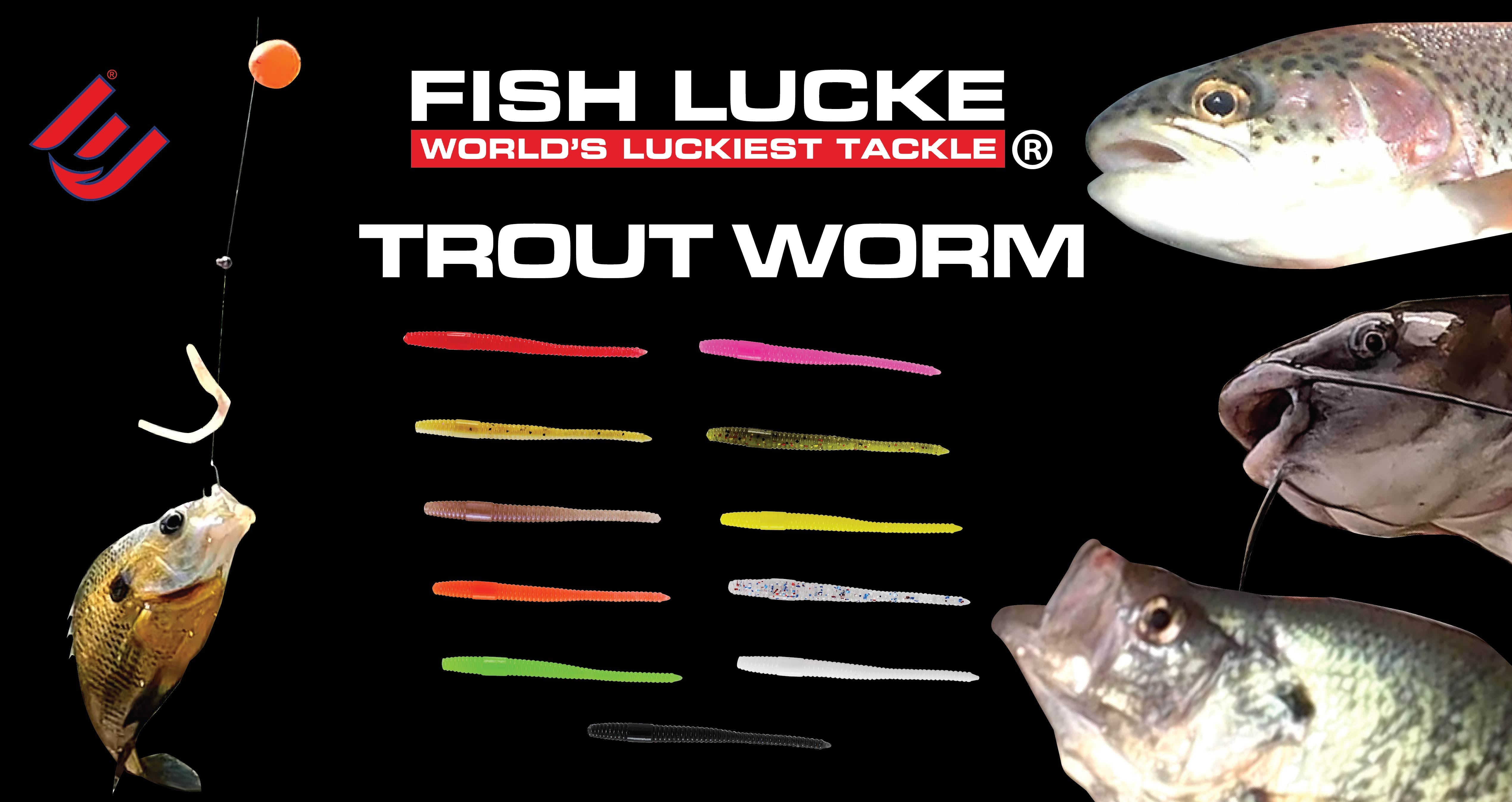 a fish lure like a worm for example CWSDXM 50/131pcs Wacky rig kit,4in Fishing Worms Lures,Wacky Fishing Kit Bass Trout : Sports & Outdoors Its unique tail wagging and hovering behavior triggers curious fish into striking Pavey: Origin of plastic worm