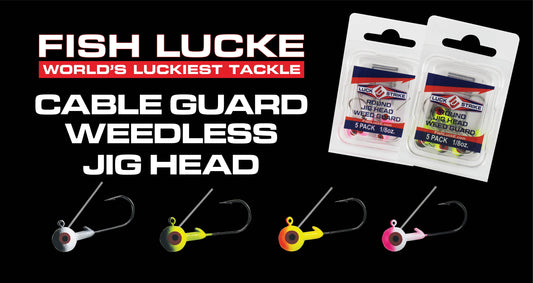 Essential jig head for versatile, snag-free freshwater fishing success.