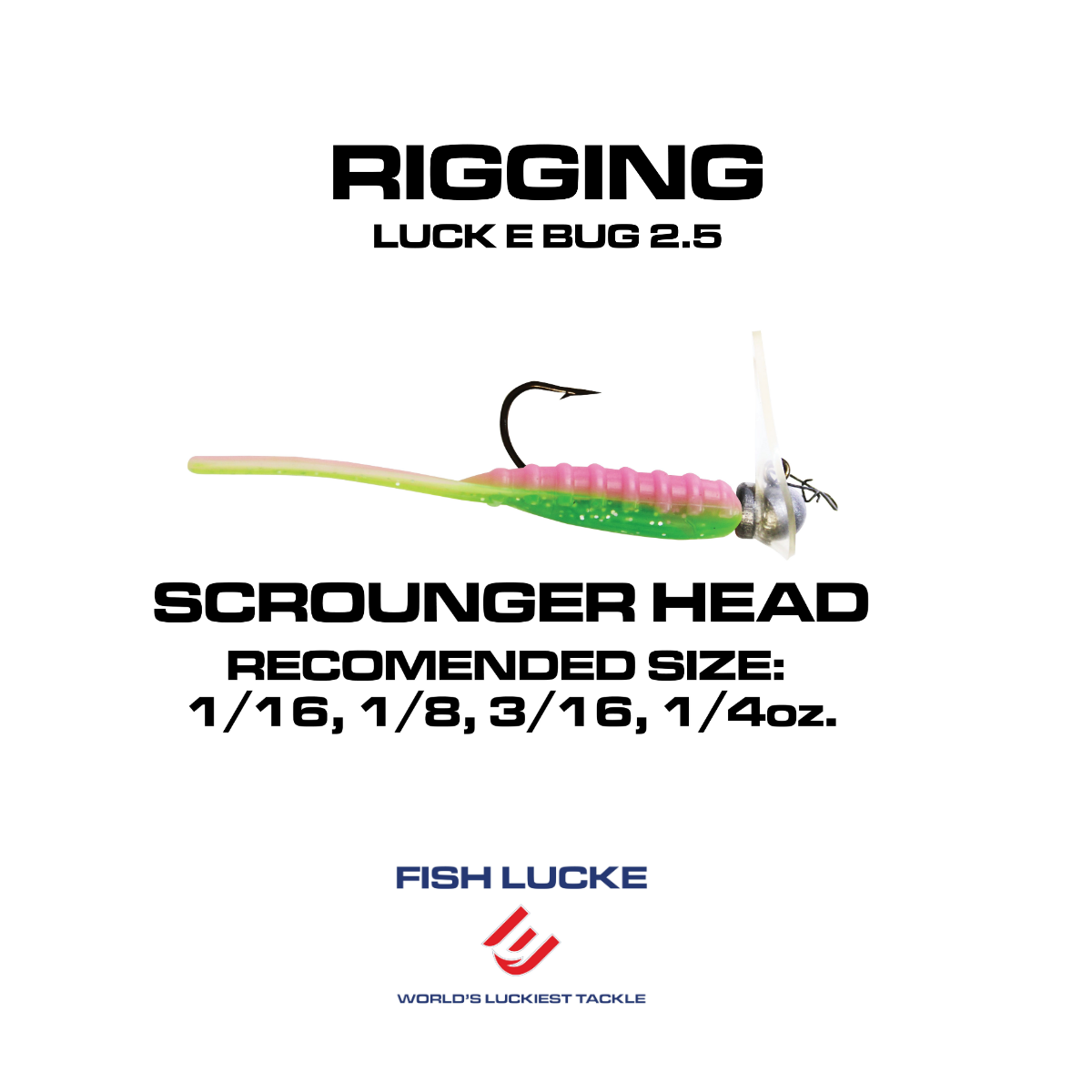 Scrounger Jighead and Luck E Bug